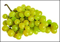 Lugana grapes